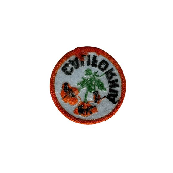 NEW California Poppy Patch State Flower Orange Blue - Picture 2 of 3